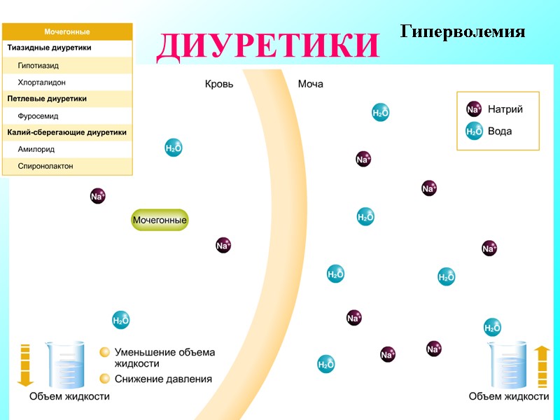ДИУРЕТИКИ Гиперволемия ДИУРЕТИКИ Гиперволемия